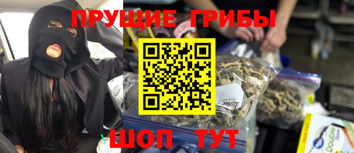 Котельники  Галлюциногенные грибы мицелий  Вход с VPN  Псилоцибиновые грибы Cubensis 